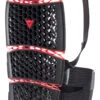 Dainese Pro-Armor 2.0 Back Long